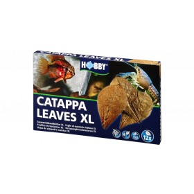 Hobby Feuilles de Cattapa XL Hobby 51105