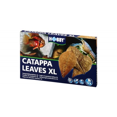 Hobby Feuilles de Cattapa XL Hobby 51105