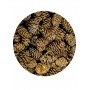 Hobby Stabilisateur de pH Hobby Alder Cones 51115