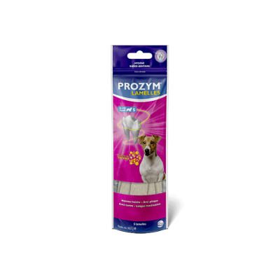 PROZYM Lamelles de boeuf Prozym (sachet x5) 21199