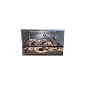 HP Aquarium Cuve Rodent castle TERR1205061