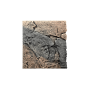 Back to Nature Décor de fond d'aquarium Slimline 60 Basalt/Gneiss Back to Nature 03000092