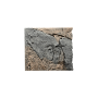 Back to Nature Décor de fond d'aquarium Slimline 50 Basalt/Gneiss Back to Nature 03000095