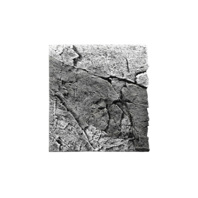 Back to Nature Décor de fond d'aquarium Slimline 60 River Back to Nature 03000113