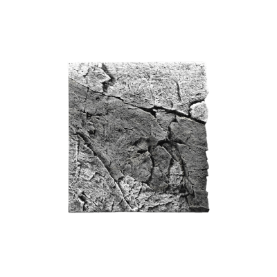 Back to Nature Décor de fond d'aquarium Slimline 60 River Back to Nature 03000113