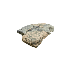 Back to Nature Roche de décoration d'aquarium Basa/Gneiss F Back to Nature 03000054