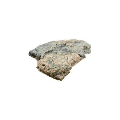 Back to Nature Roche de décoration d'aquarium Basa/Gneiss F Back to Nature 03000054