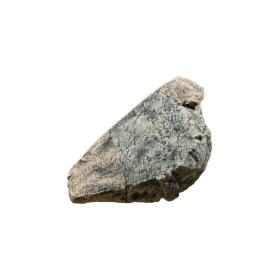 Back to Nature Roche de décoration d'aquarium Basa/Gneiss H Back to Nature 03000056