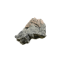 Back to Nature Roche de décoration d'aquarium Basa/Gneiss L Back to Nature 03000057