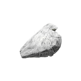 Back to Nature Roche de décoration d'aquarium White Limestone H Back to Nature 03000070