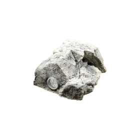 Back to Nature Roche de décoration d'aquarium White Limestone T Back to Nature 03000077