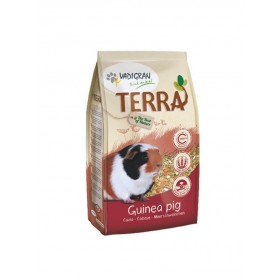 Vadigran TERRA cobaye Vadigran 384020