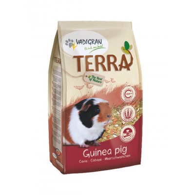 Vadigran TERRA cobaye Vadigran 384020