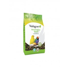 Vadigran Graines à germer ORIGINAL Vadigran 110010