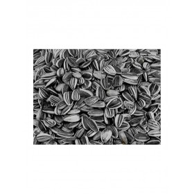 Vadigran Petites Graines de Tournesol striées Vadigran 216010