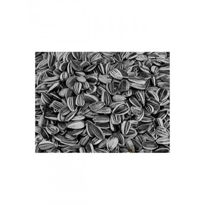 Vadigran Petites Graines de Tournesol striées Vadigran 216010