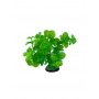 Aqua joy Plante artificielle décorative 1328A 1328A