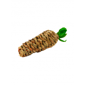 Nilufar Carotte en fibre de maïs 4 x 4 x 12 cm LP-0404