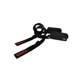 4pets Set d'attaches Isofix pour Caree 4P.0119