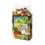 JR Farm Mélange ratatouille JR Farm 100 g 508249
