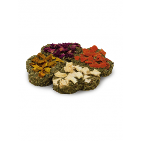 JR Farm Quator Grainless Foin & Légumes JR Farm 60 g 521473