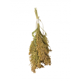 JR Farm Millet JR Farm 30 g 508866