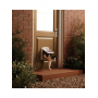 Petsafe Porte ORIGINAL 2 positions Small Petsafe CY1714