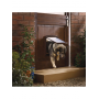 Petsafe Porte ORIGINAL 2 positions Medium Petsafe CY1717
