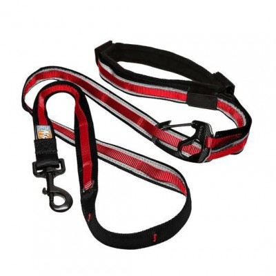 Kurgo Laisse Mains libres Quantum Kurgo CY0794