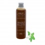 Anju Beauté Shampooing à l'abricot Anju Beauté 250 ml AN200