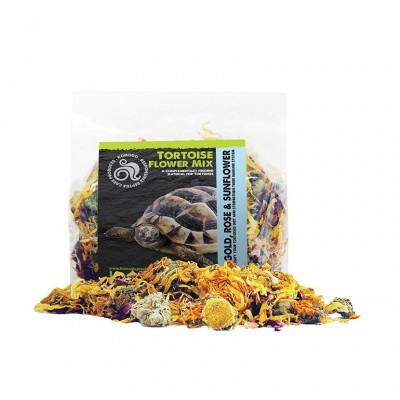 Komodo Mélange de fleurs Tortue Komodo 100 g 83228