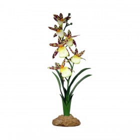 Komodo Décoration artificielle Orchidée Araignée Komodo 40 cm 82512