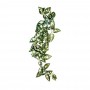 Komodo Plante artificielle à suspendre Borneo Komodo U46205