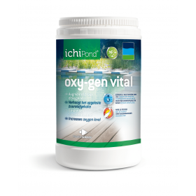 Ichi Pond Traitement de bassin Ichi Food Oxy-gen Vital NEOOXY012B