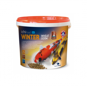 Ichi Food Granulés pour Koï Ichi Food Winter (flowing) ICFWIN201N
