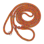 Dinoleine Laisse lasso avec collier en polyester Dinoleine 250813