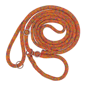 Dinoleine Laisse lasso avec collier en polyester Dinoleine 250813