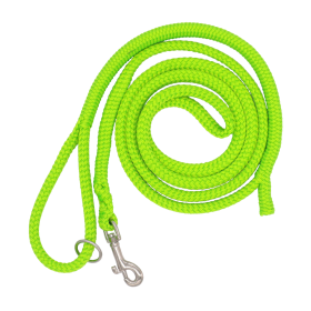 Dinoleine Laisse ajustable en polyester Dinoleine 200615