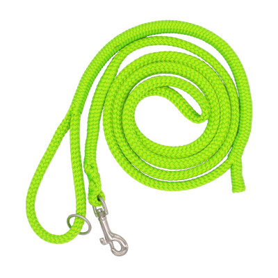 Dinoleine Laisse ajustable en polyester Dinoleine 200615