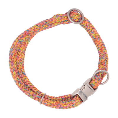Dinoleine Collier réglable en polyester clip 45/65 cm Dinoleine 281113