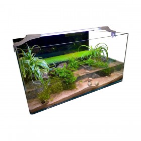 VIVARIUM TOUT ÉQUIPÉ 80 x 45 x 35 cm KITVT80
