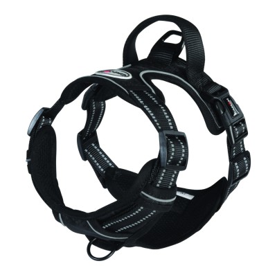 Camon Harnais réglable rembourré Camon DC350/01