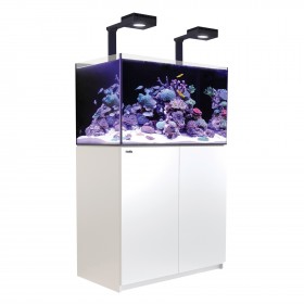 Red Sea REEFER Deluxe 250 (2 x ReefLED 90) Red Sea R42123-RL
