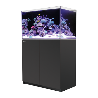 Red Sea REEFER 250 Red Sea R42121V3