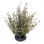 Aqua joy Plante artificielle décorative 8468-GW 8468-GW