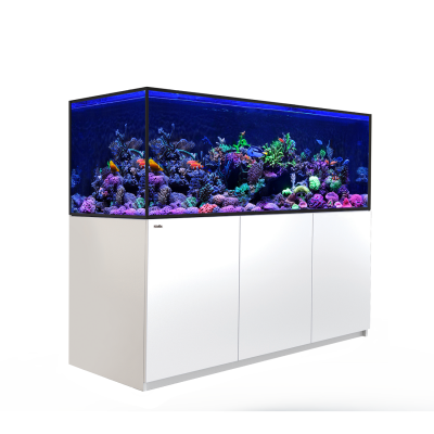 Red Sea REEFER S 850 Red Sea R43300