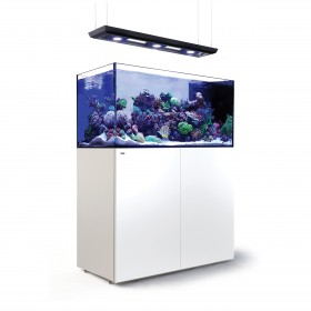 Red Sea REEFER Peninsula Deluxe 500 (3 x ReefLED 90) Red Sea R42354-RL