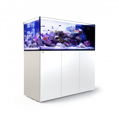 Red Sea REEFER Peninsula 650 Red Sea R42361