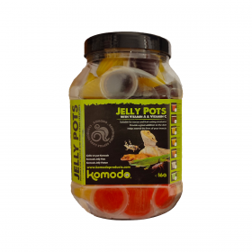 Komodo Pot de 60 Gelées pour Reptiles / Insectes Jelly Pots Komodo 83255