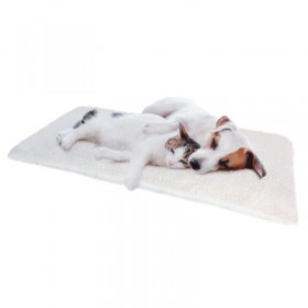 Camon COUSSIN THERMIQUE PREMIUM 8019808196343